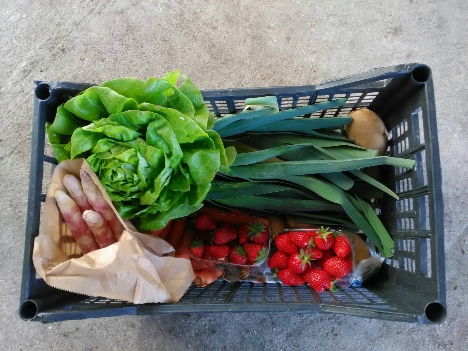 Les jardins de Champ Rose