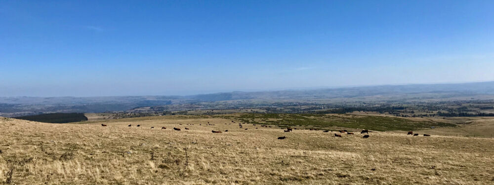 Parcours trail 16 - Puy Niermont Le Ché Albepierre