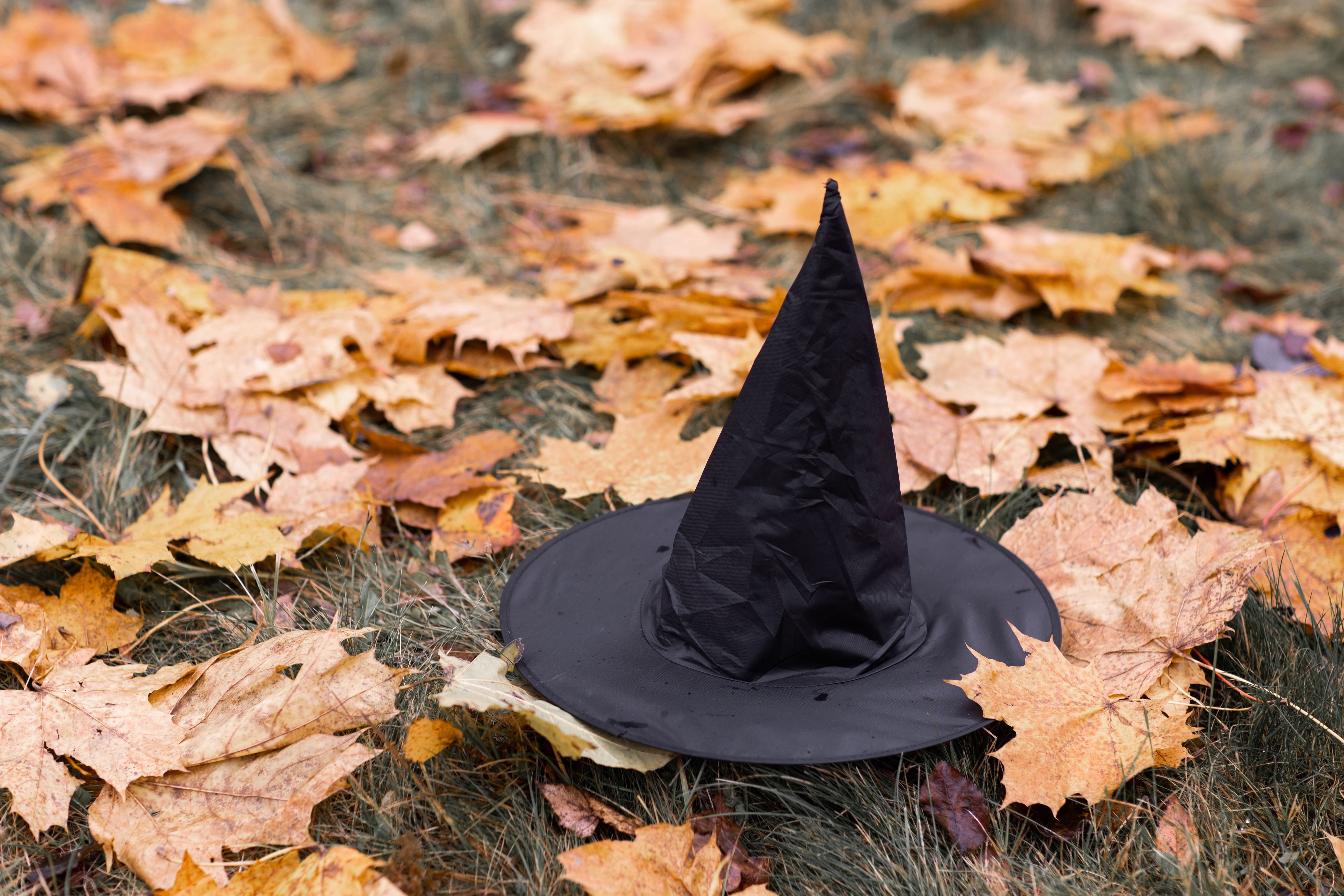Halloween en journée au Château de Septème : Les sortilèges de la bête_Septème