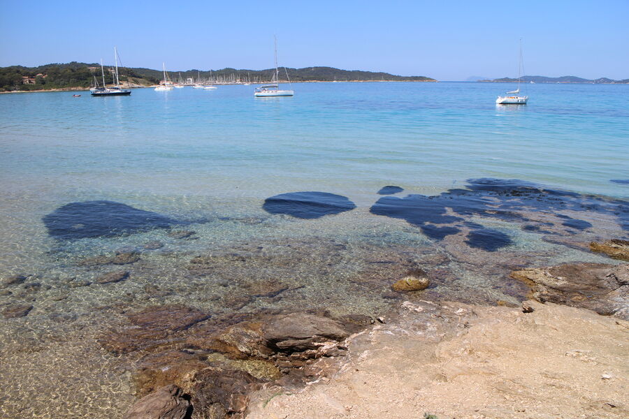 Plage de la Courtade - île de porquerolles - Hyères