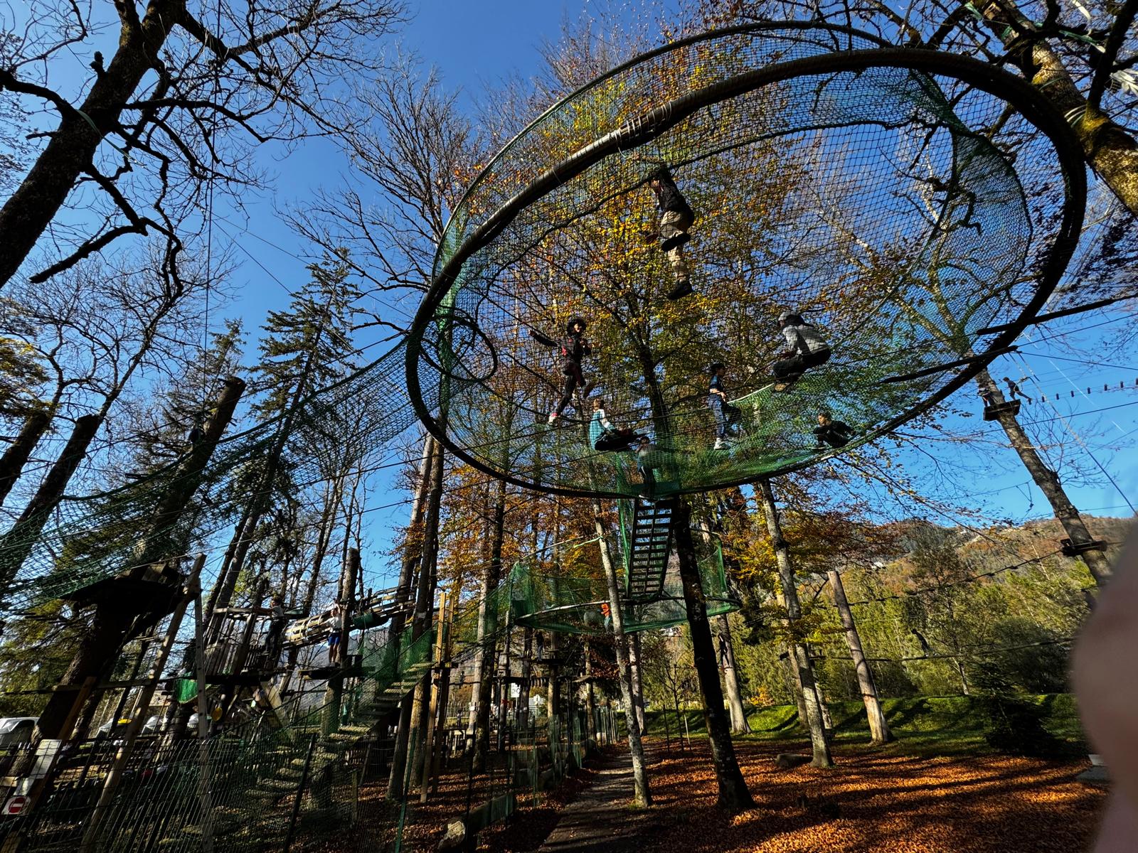 Les cages d'écureuil