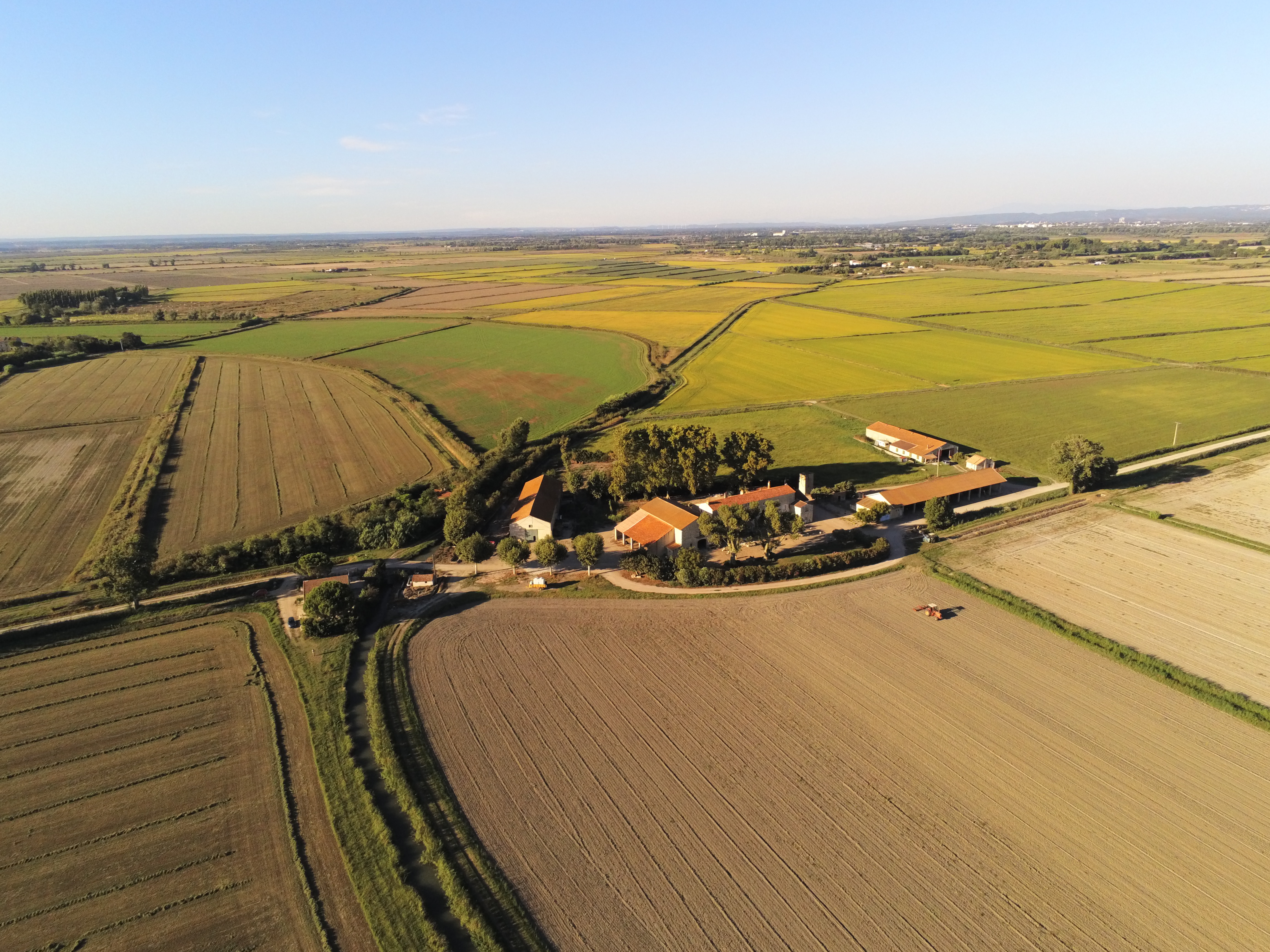 Le Cigalon – Les pieds en Camargue