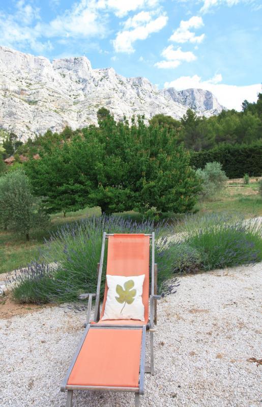 La Feuillère, Saint-Antonin-sur-Bayon - photo 10