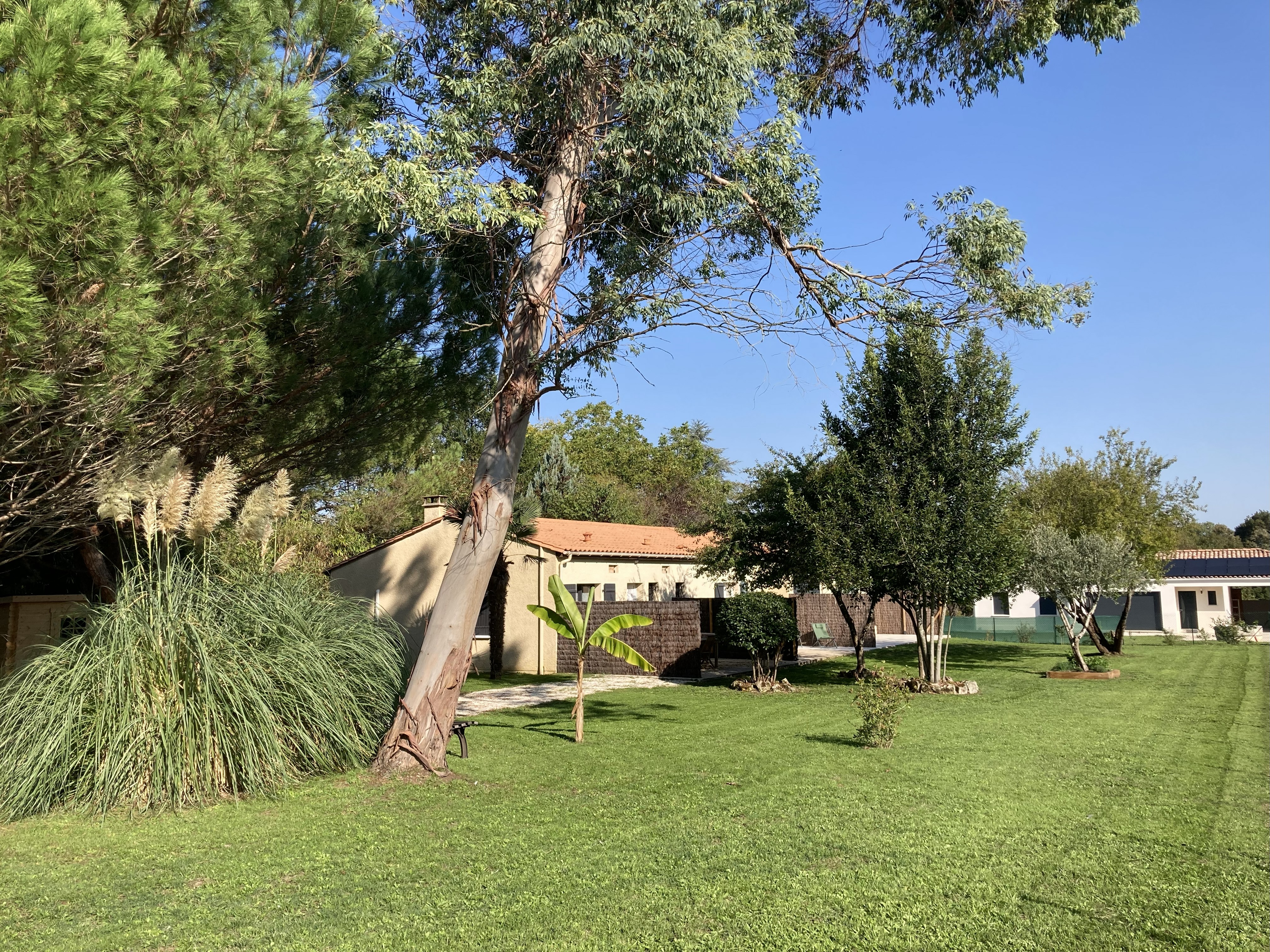 Location Domaniem - n°3