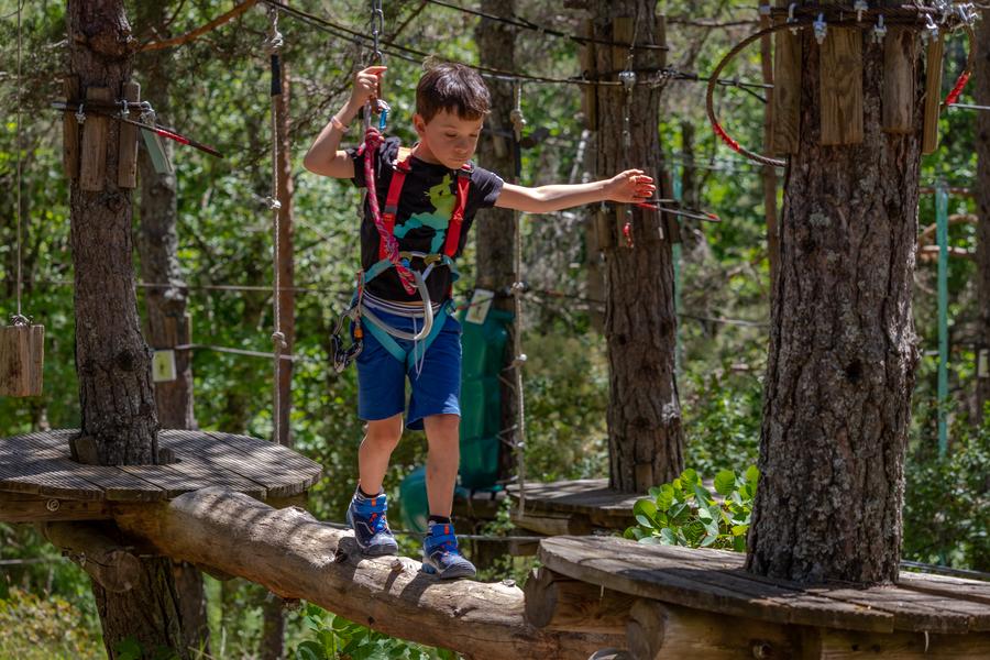 Adventure Forest