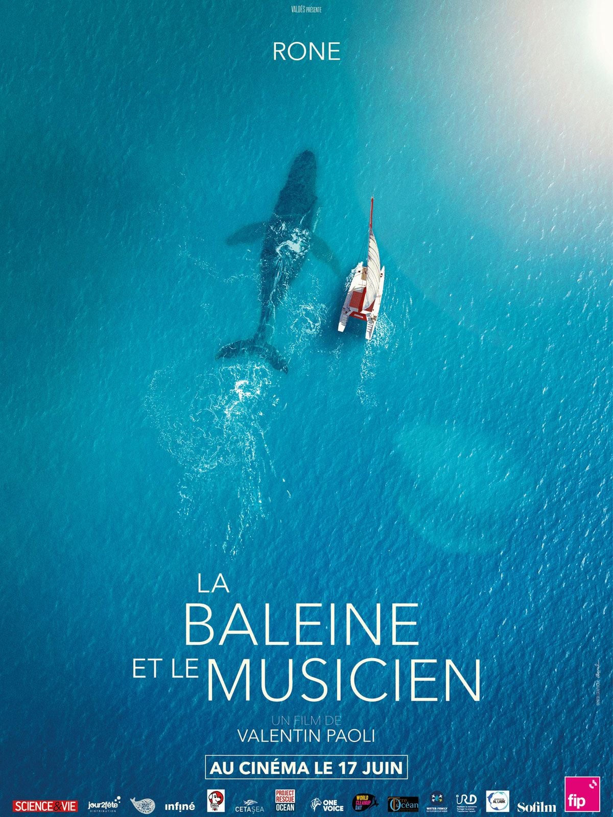 Affiche du film