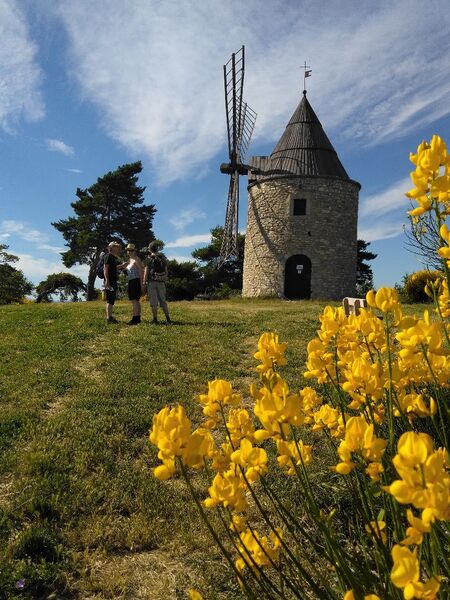 Le moulin de Montfuron