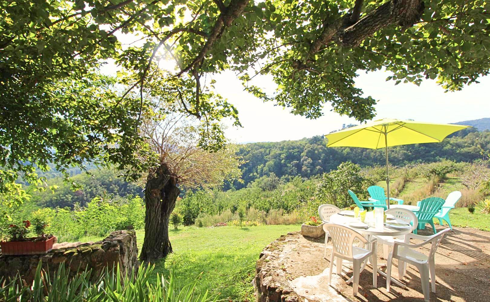 Terrasse ombragée par le tilleul avec vue sur la Vallée du Doux et le Château de Chazotte