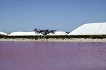 IMG_1836