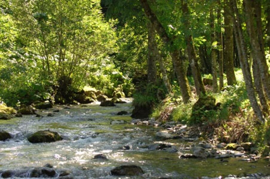 Cours d'eau de Gresse en Vercors
