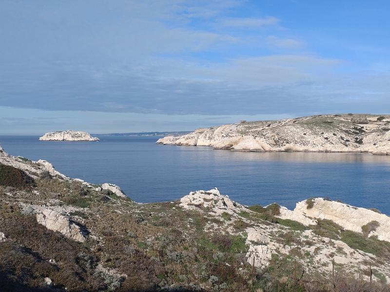 Site de plongée de l'Archipel du Frioul_Marseille
