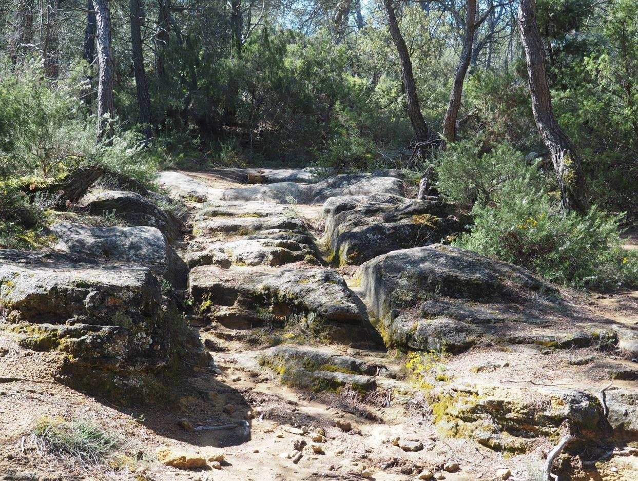 Pin Parasol, Jouques - photo 39