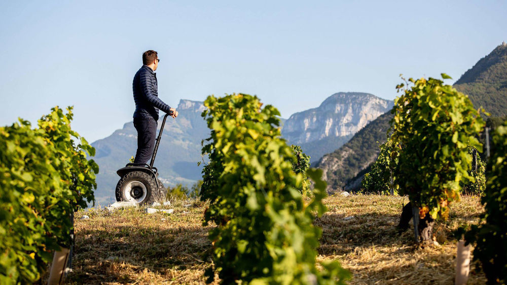 Balade Segway dans les vignes