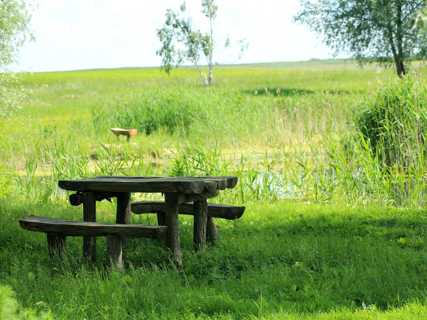 Aire de l'Etang de la Grève