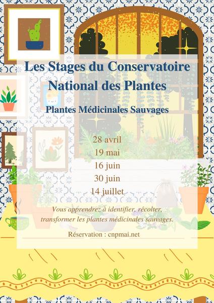 Stage : Cueillette sauvage - Plantes médicinales