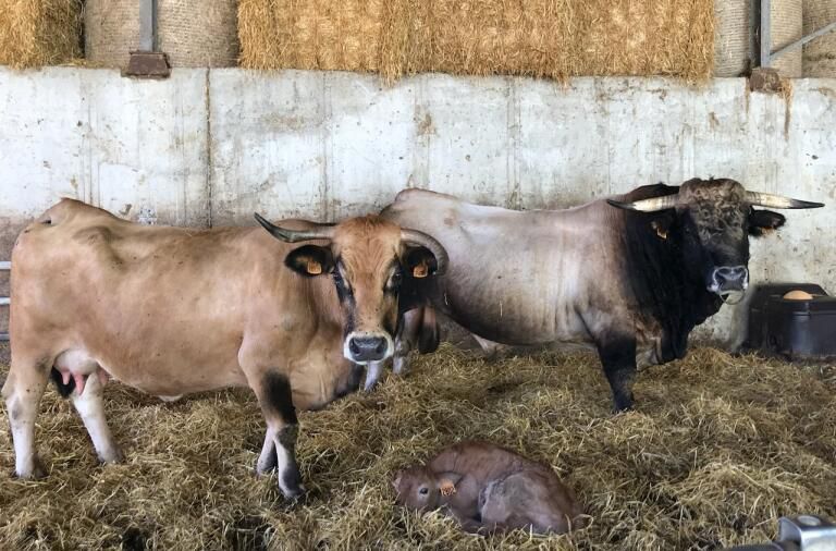 Les Pieds dans le Local® ! Visite d'exploitation : la Ferme du Mont