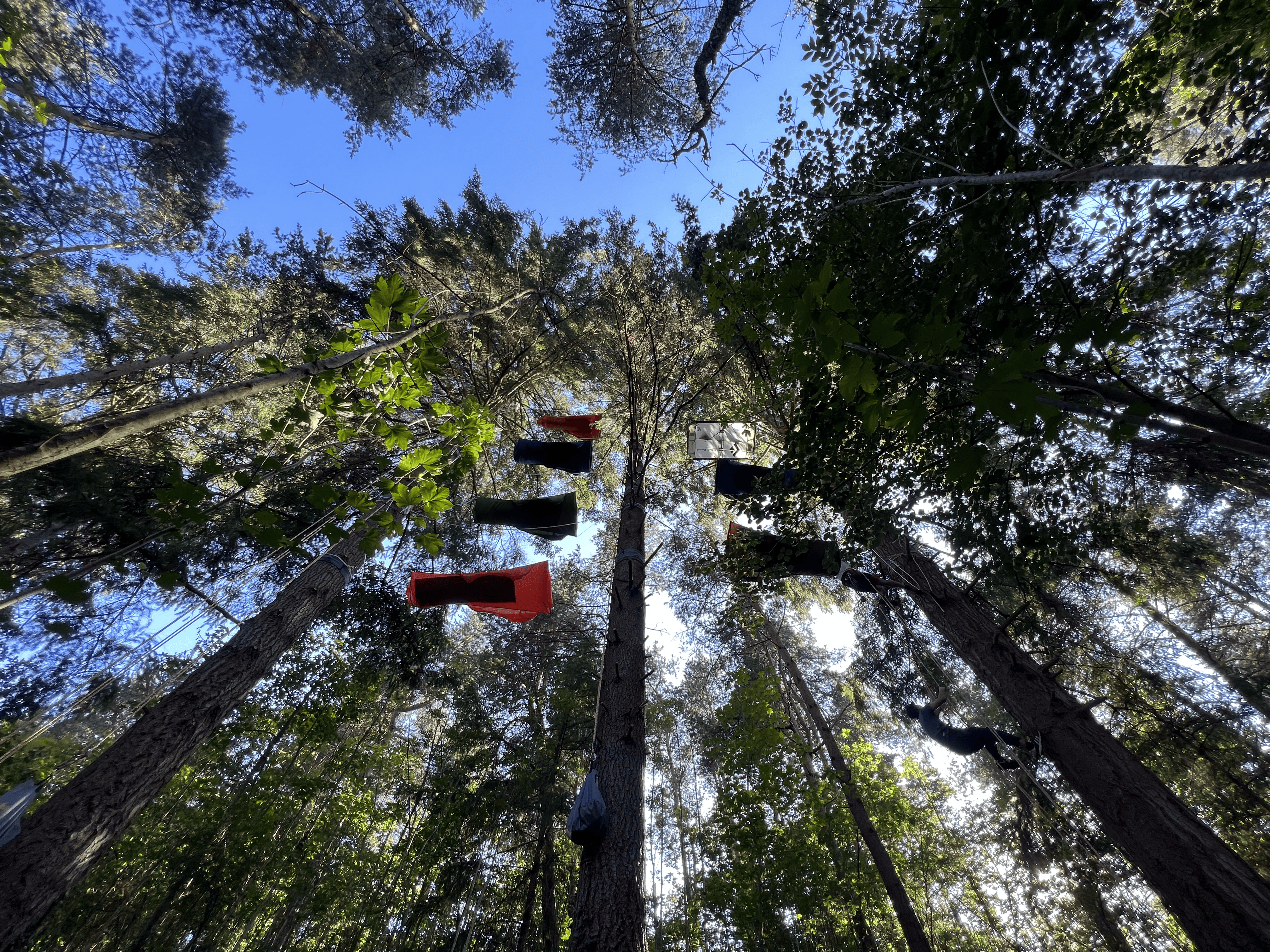 Le repos des Bois : 4 formules