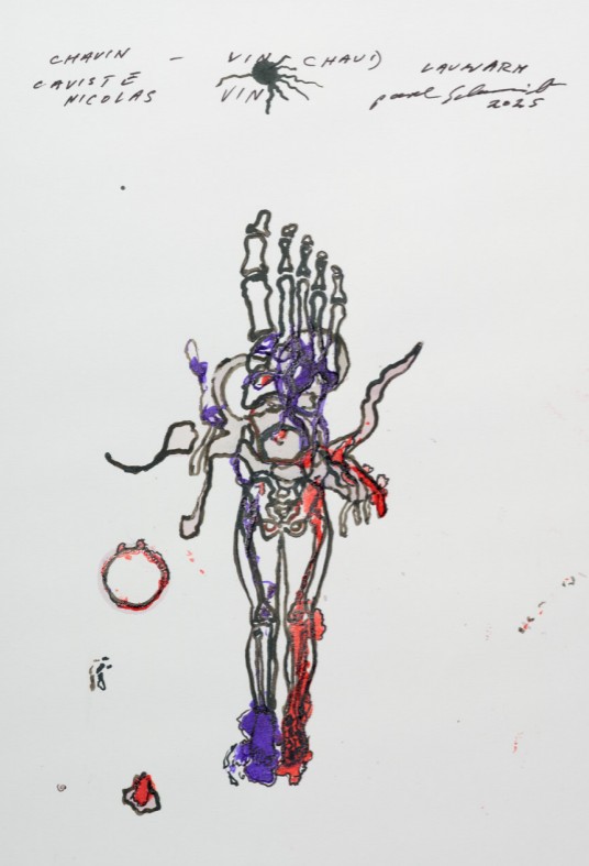 Pavel Schmidt, Anatomie – Anomalie