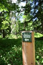 Sentier découverte du Mélè’zen - Colmars-en - Photo 10