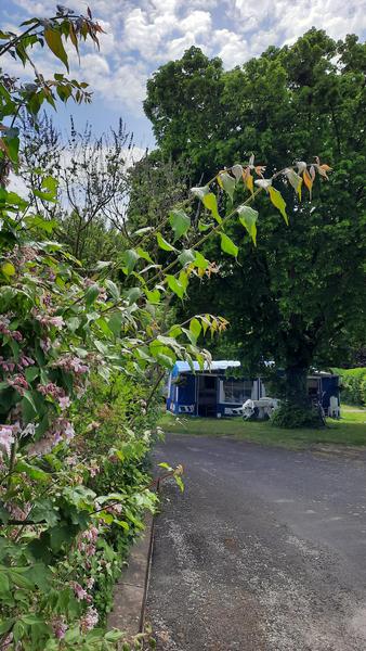 Vue du Camping Vue du Camping