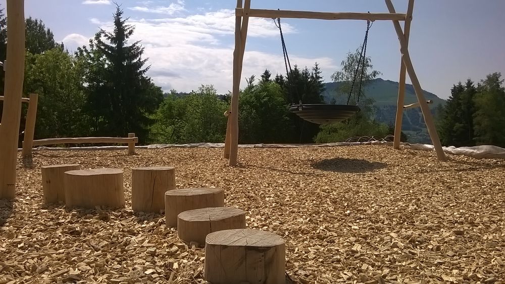 Aire de jeux des Moises