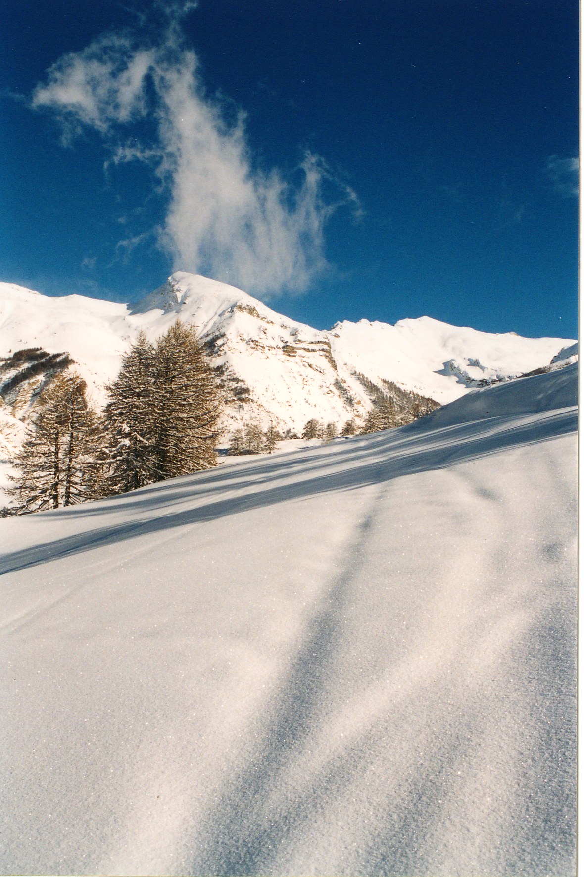 Bureau Montagne de l'Eyssina