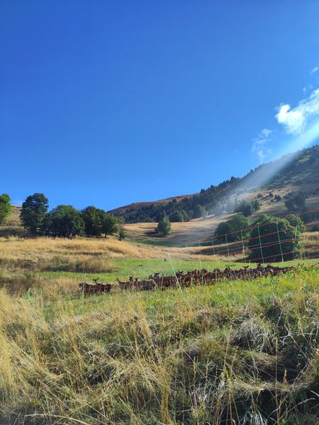 Sentier de la Croix - randonnée depuis Villard-Reculas_Villard-Reculas