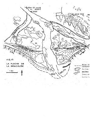 They de la Gracieuse et They de Roustan, Port-Saint-Louis-du-Rhône - photo 3