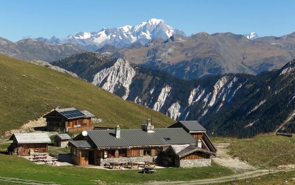 Gran Plan b2022-09-11_8 copie.jpg