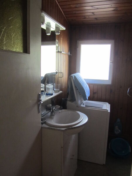Salle d'eau avec lavabo et machine à laver.
