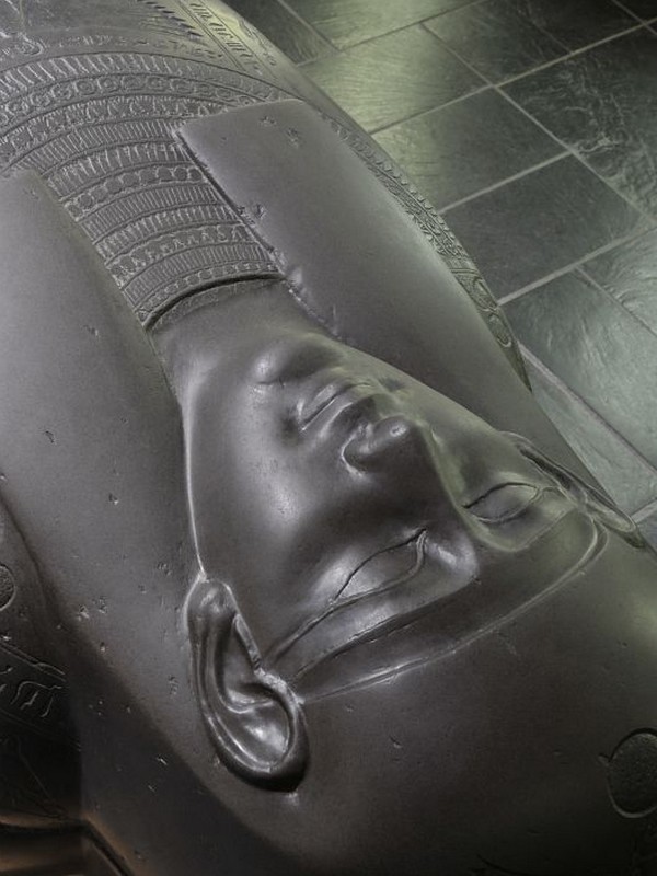 Musée d'Archéologie Méditerranéenne (MAM), Marseille 2e Arrondissement - photo 3