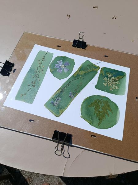 Atelier découverte du cyanotype