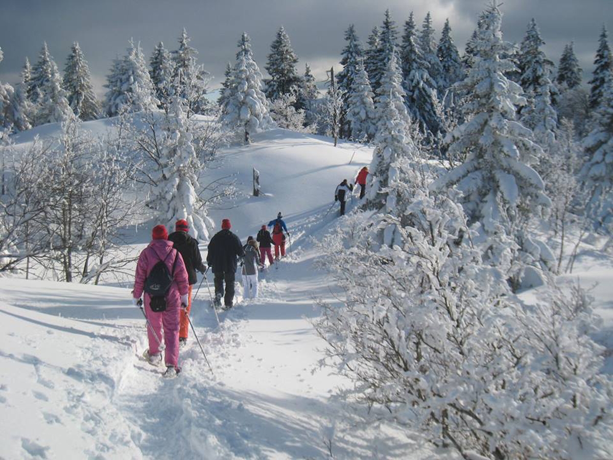 Randonnée accompagnée en raquettes à neige