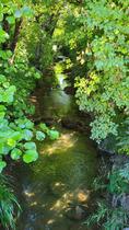 20250807_100203.jpg