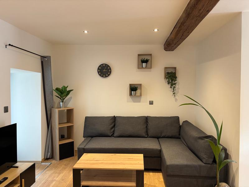 Appartement meublé à Vertrieu_Vertrieu