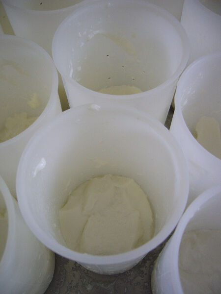 Chevriers d'Echazeaux