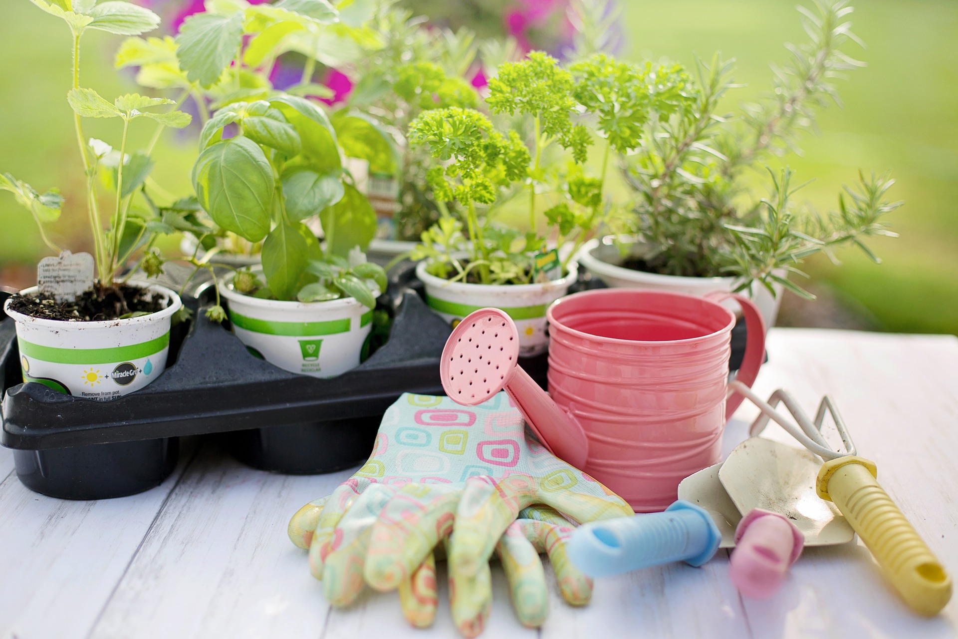 Rendez-vous futés ! : Troc de plantes, de semences, de llivres et petit matériel de jardinage.