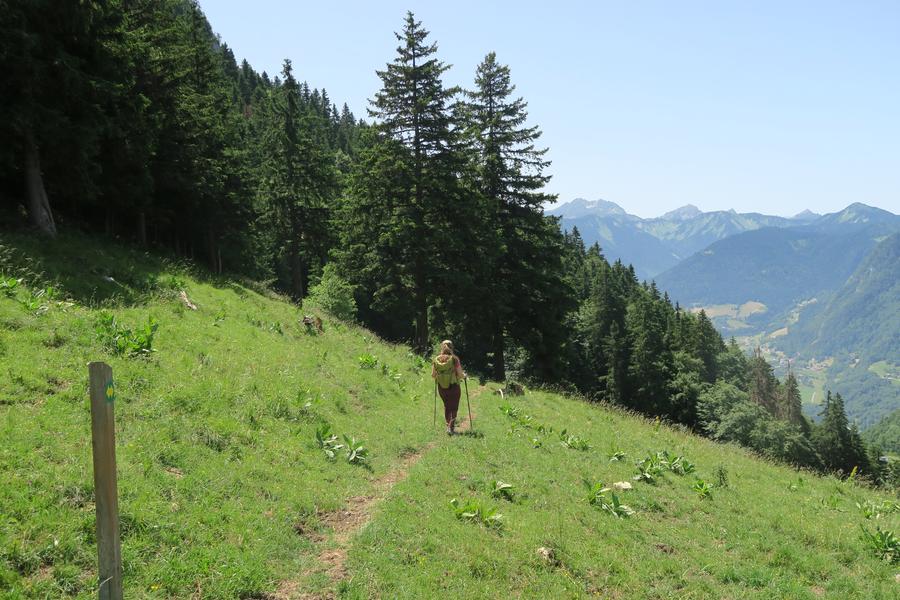 Randonnée à pied à la Pointe de Tréchauffé_La Forclaz