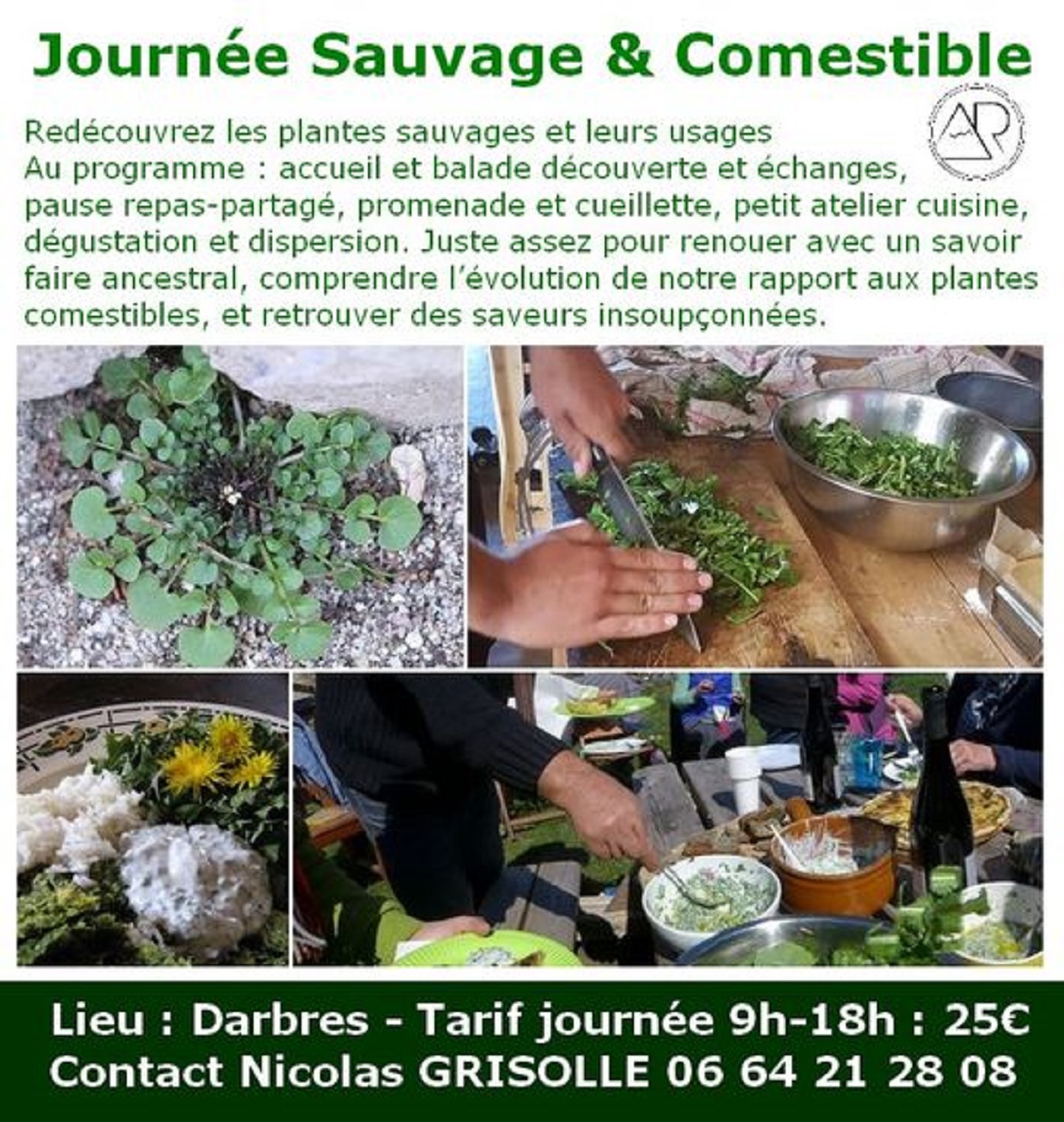 Journée Sauvage et Comestible