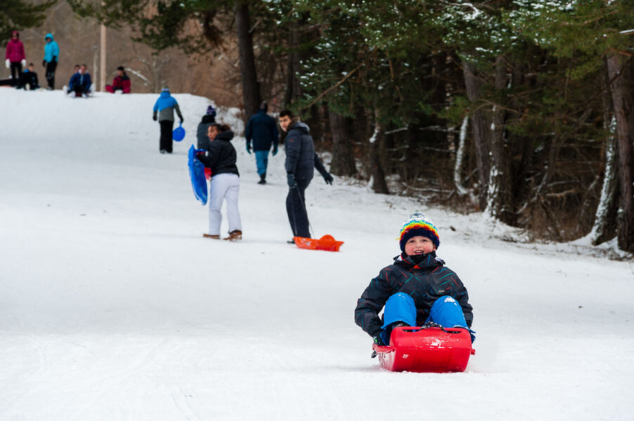 Piste luge Les Signaraux