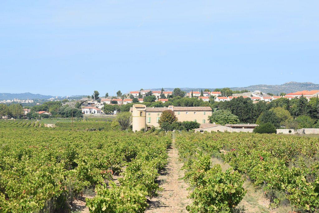 Le Mazet, Lançon-Provence - photo 3