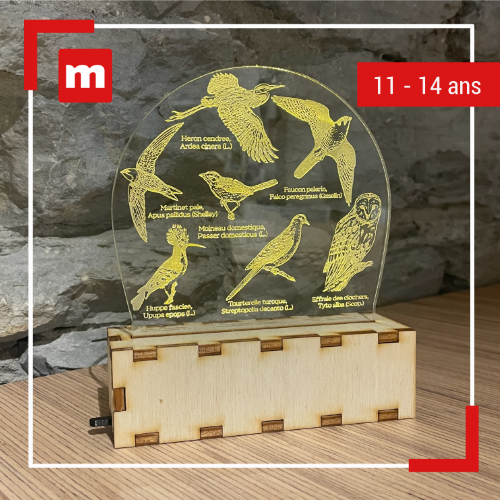 Atelier Fabrique Kids : Lampe « Oiseaux d’Isère »_Grenoble