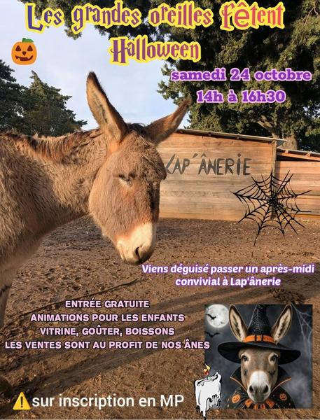 Les grandes oreilles fêtent Halloween>
