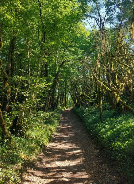 Circuit VTT 5 : Lac d'Armaille