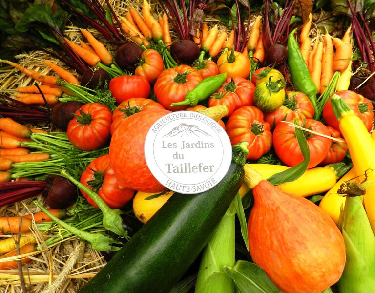 Vente directe de légumes bio à LaThuile