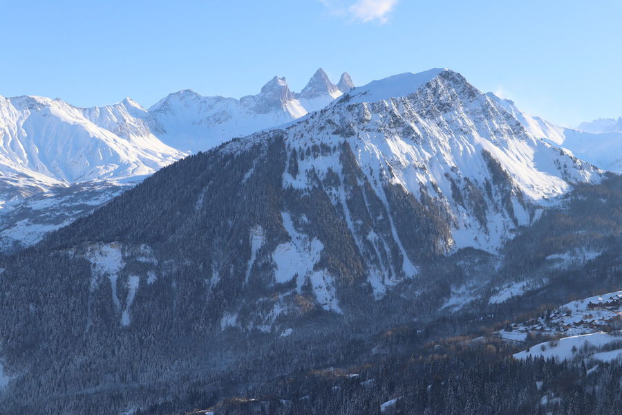 Le Sabot de Vénus - Toussuire Ski Le Col Panoramic