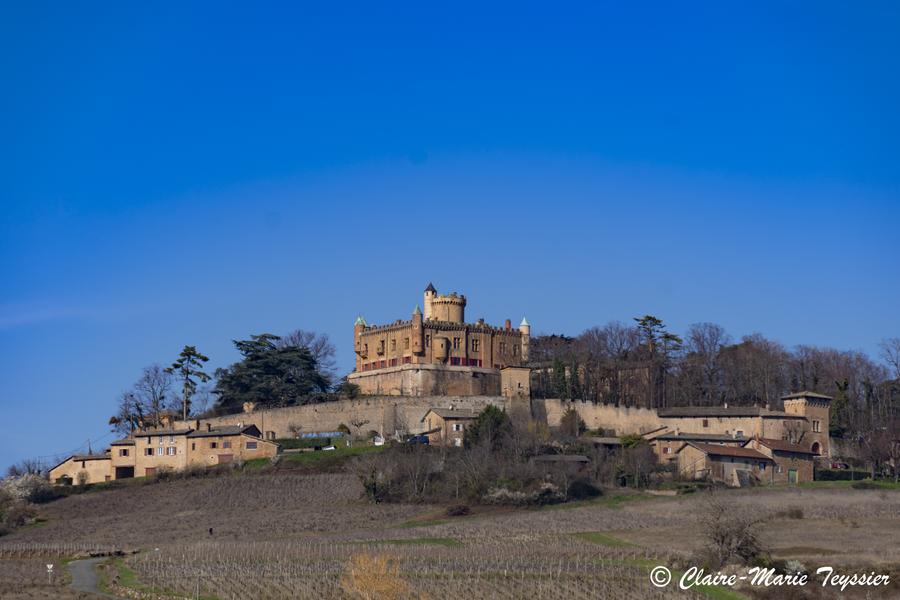 Château de Montmelas