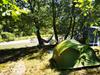 Chasteuil Provence