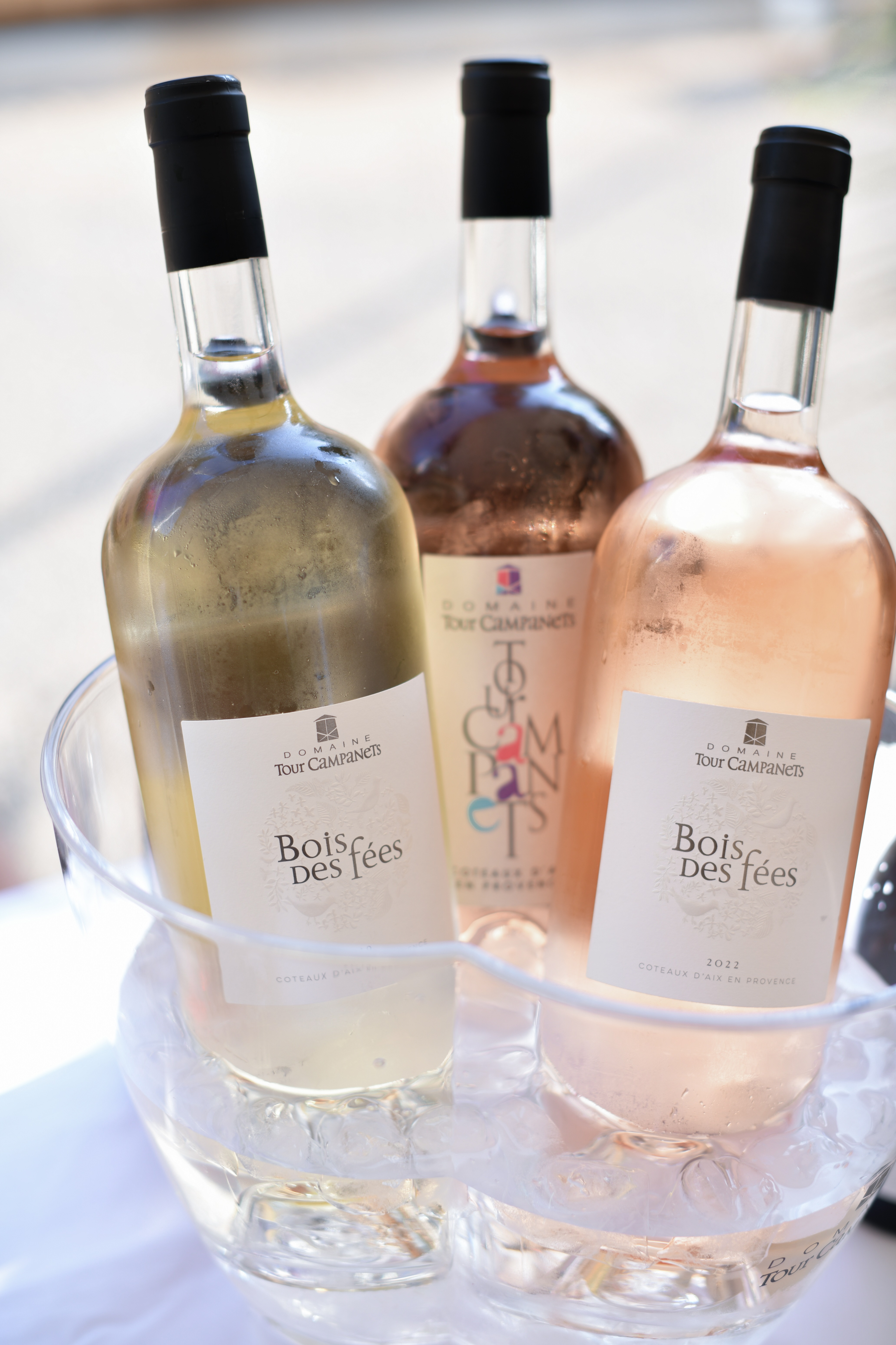 Domaine Tour Campanets