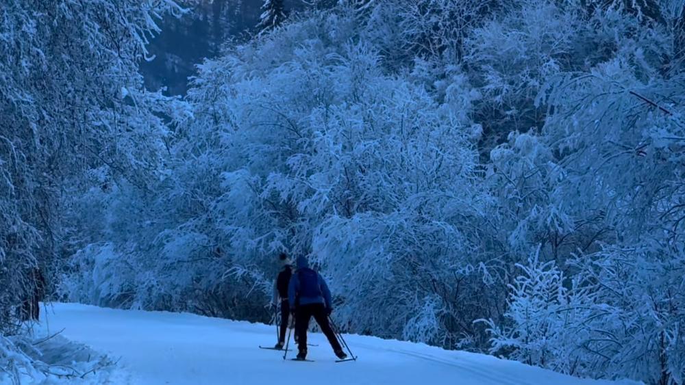 Piste bleue : Circuit de Vallon_Samoëns
